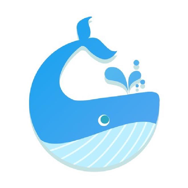 蓝鲸加速器：提升网络速度与稳定性的必备软件，下载、配置及运用指南